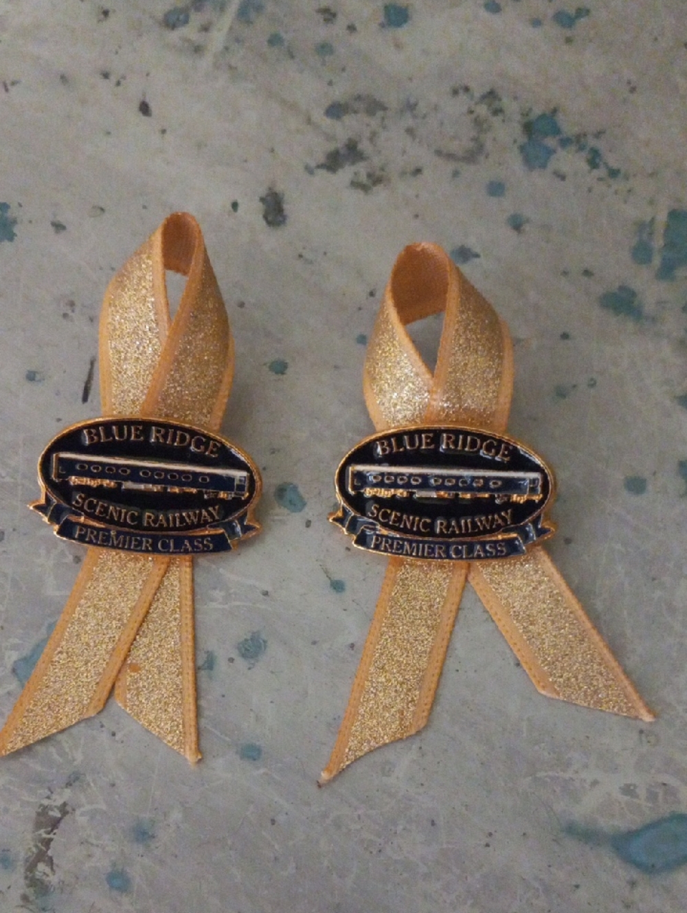 Blue Ridge Scenic Railway Premier Class Gold Ribbon Pins (Pair)